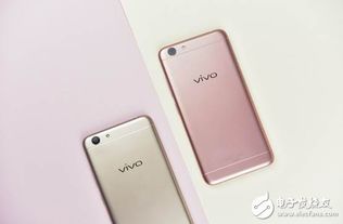 Vivoy53全新解读与期待，上市时间揭秘