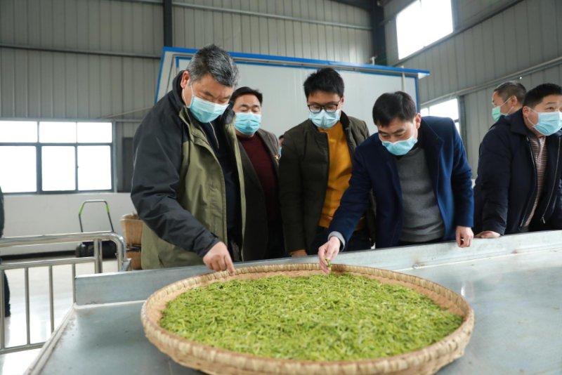 巴东最新新闻更新✨
