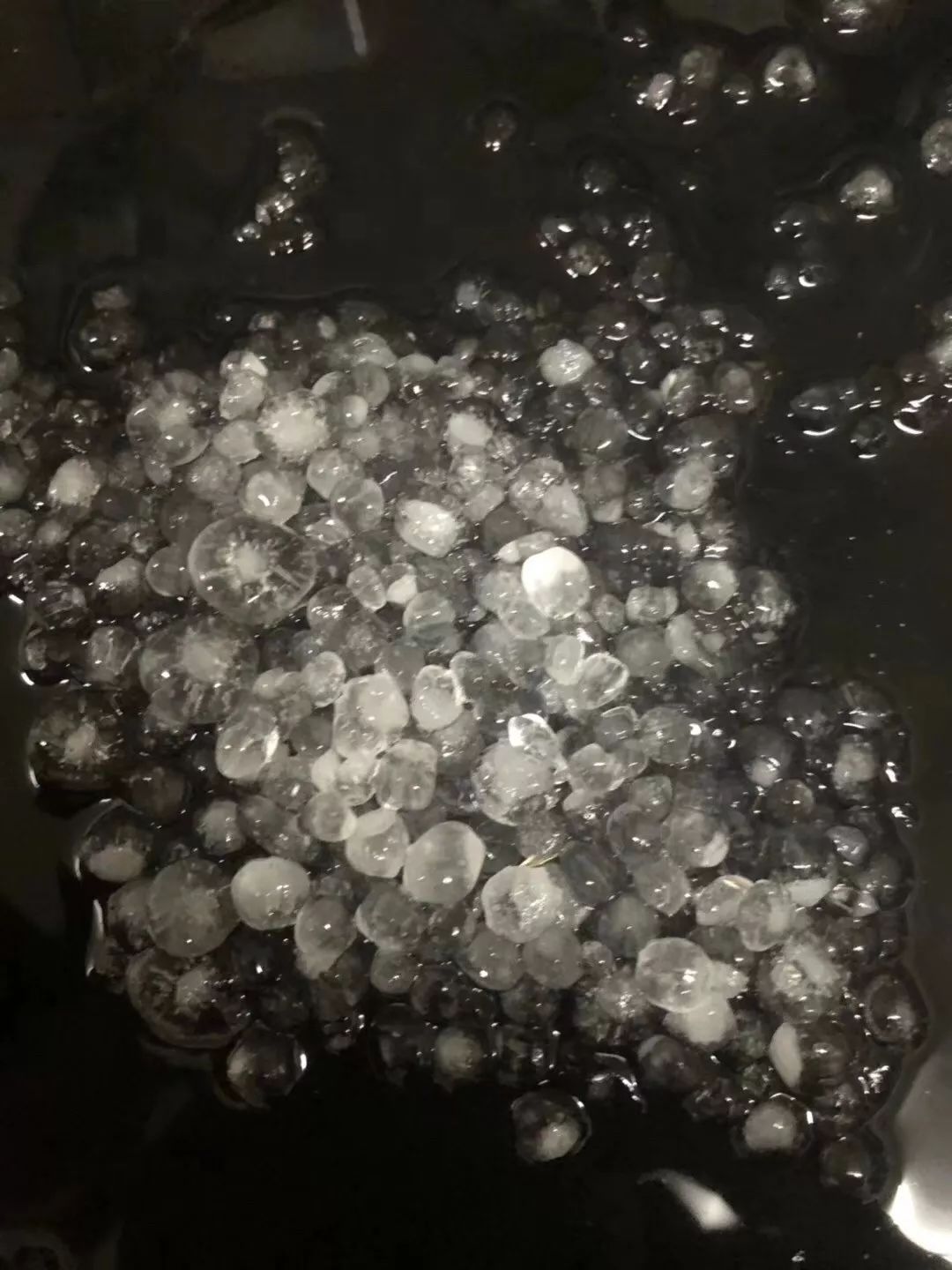山东冰苞最新晶莹剔透冰雪世界探秘之旅！