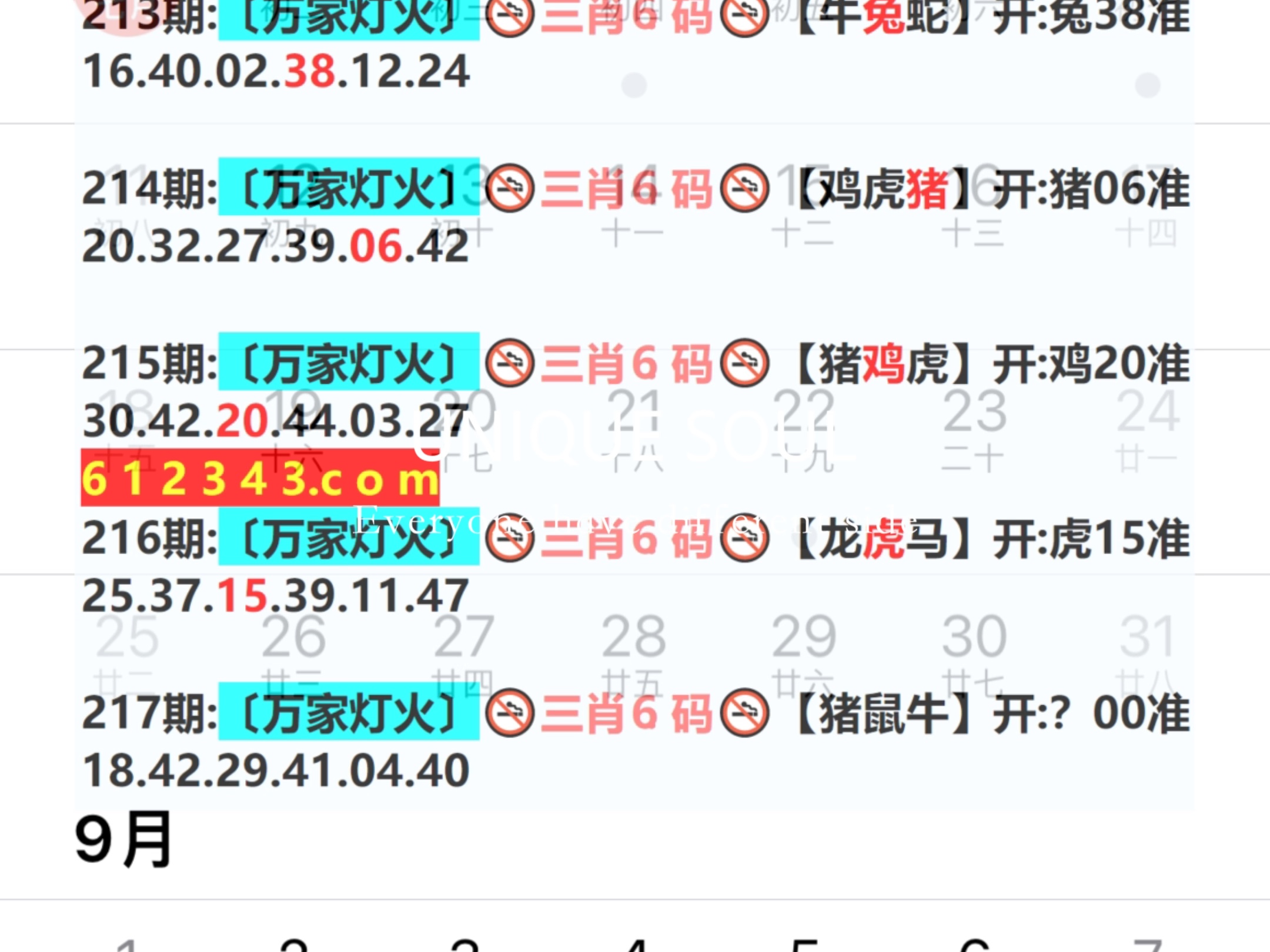 新奥2024一肖一码,实时处理解答计划_轻量版20.708