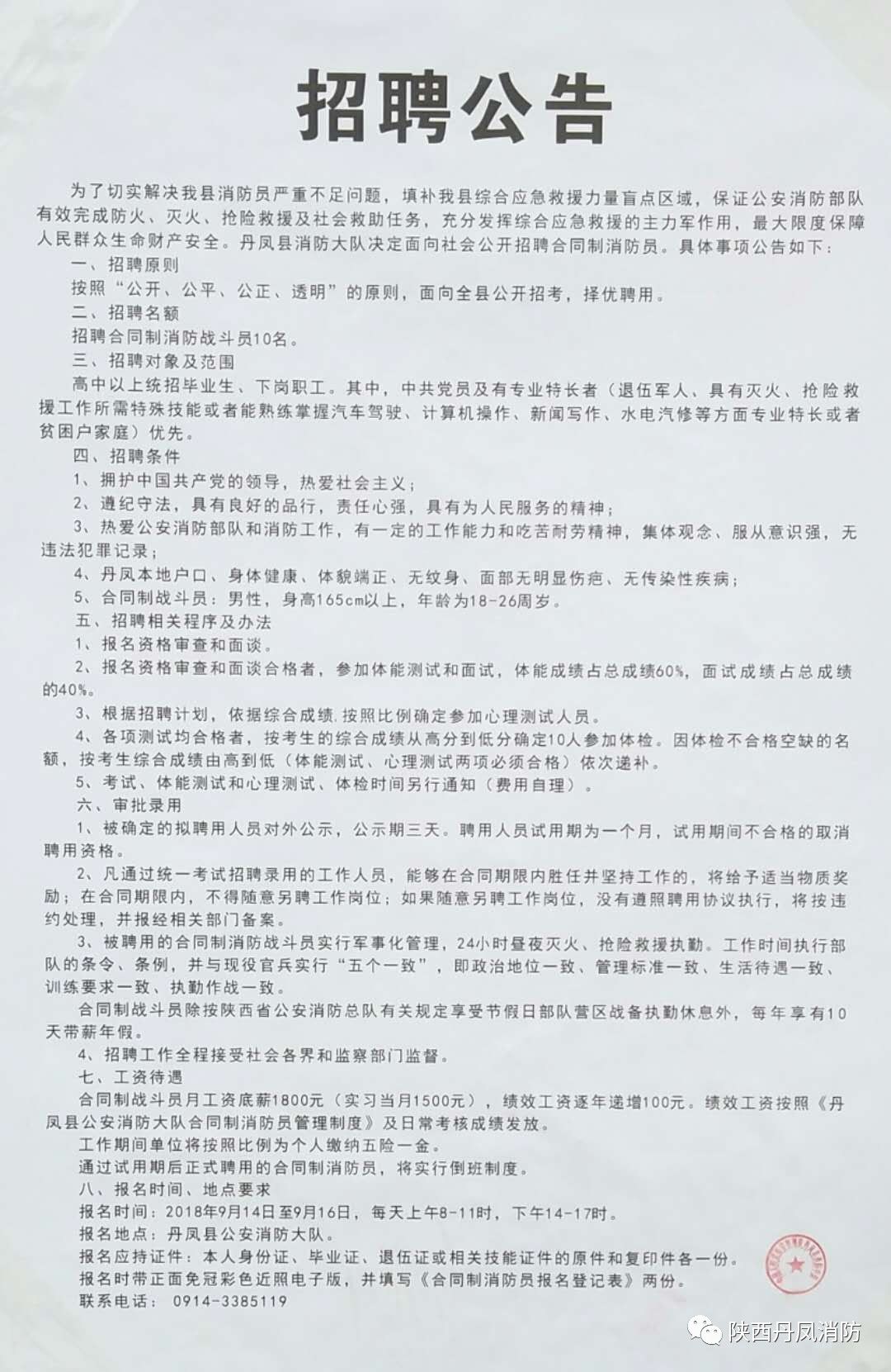 博野最新职位招聘，时代新机遇与人才需求大解析
