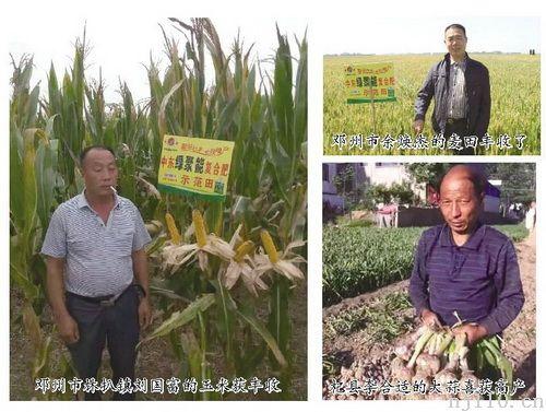 中东复合肥最新报价，友情之旅与价格探索